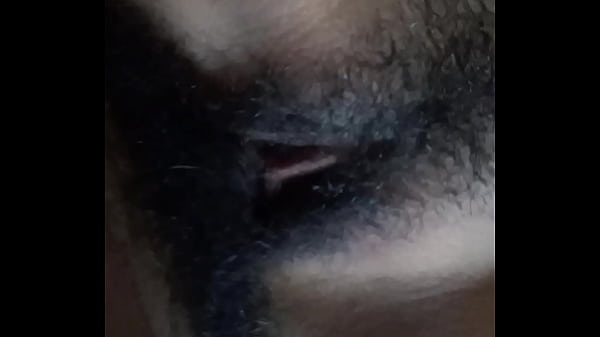 bokephd.cc